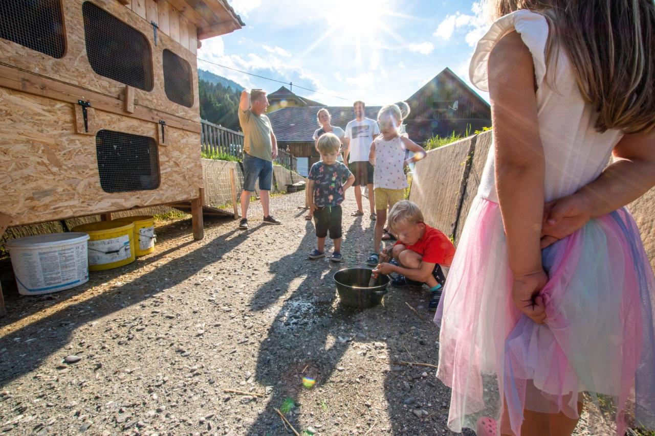 Chalets Und Apartments Hauserhof Nassfeld Schlanitzen Zewnętrze zdjęcie